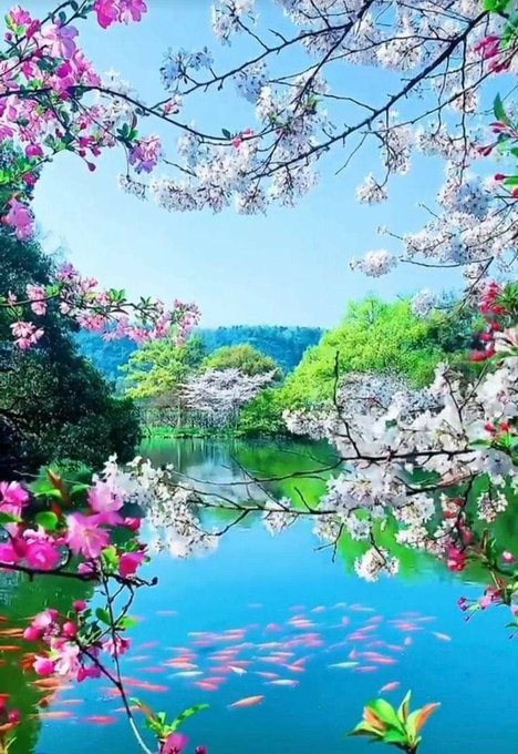 beatrix_vi's tweet photo. Hello everyone, have a nice day everyone https://t.co/gWgYKBIJoq