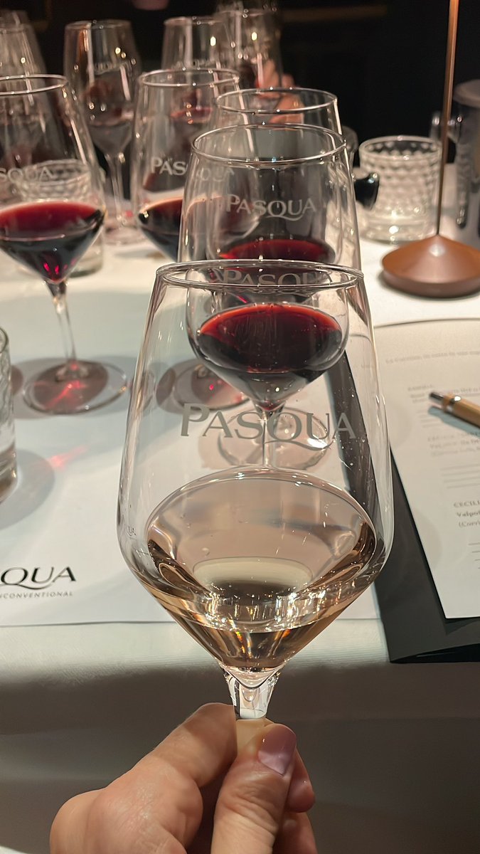 Diverse sfumature di Corvina. Si inizia la masterclass con il Rosè Trevenezie Igt 11 Minutes 2021. Corvina al 50% in compagnia di Trebbiano di Lugana, Syrah e Carmenere
