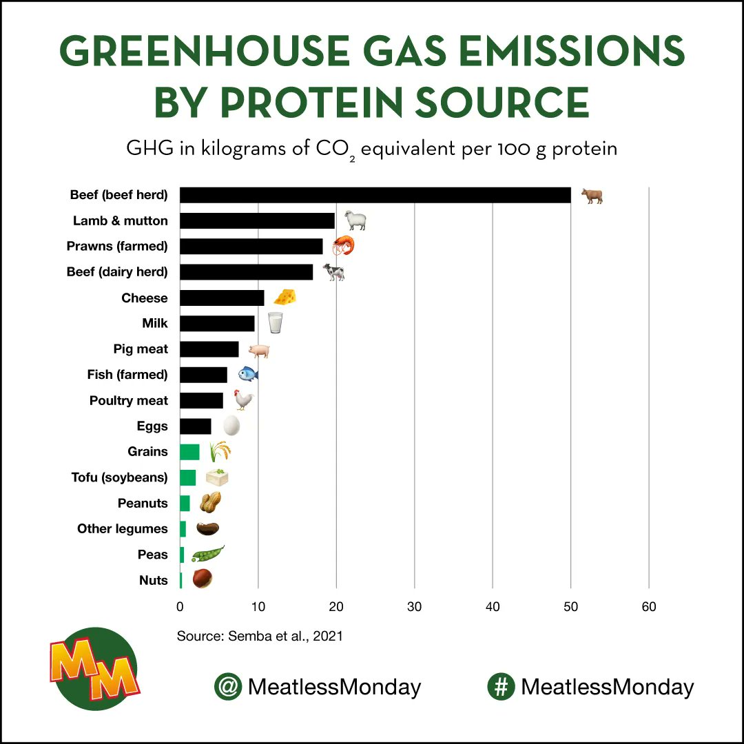 ForwardFood's tweet photo. If you're looking to meet your #sustainability goals, one of the EASIEST AND MOST EFFICIENT things you can do is to serve more plant-based foods and fewer animal foods. 🌱 #MeatlessMonday #EarthMonth https://t.co/qXy7dKHIYn