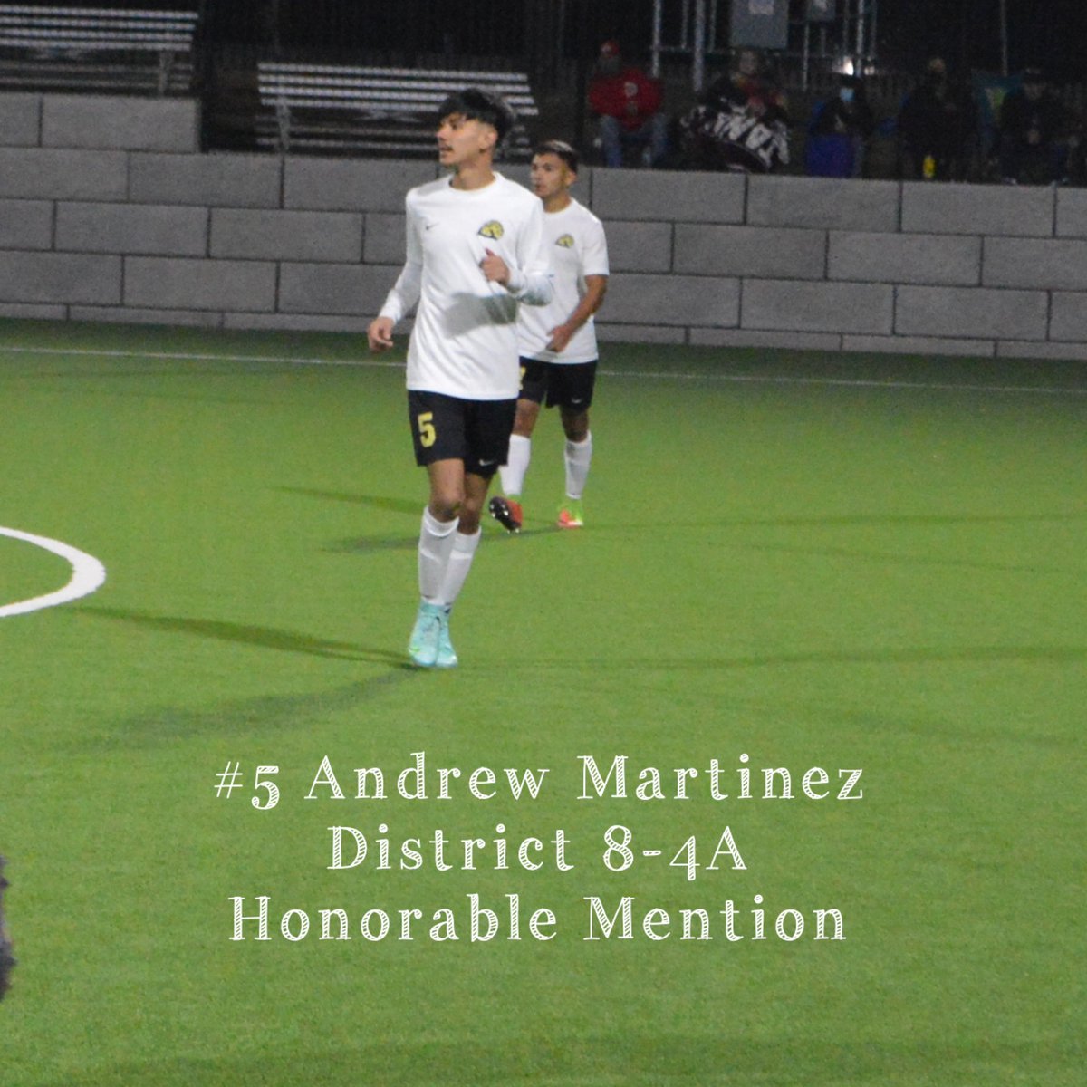 Lion Soccer tweet media