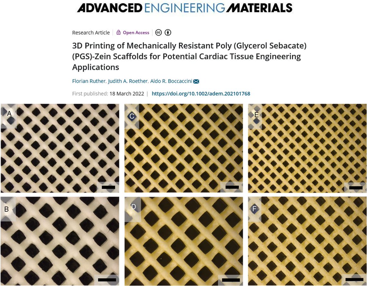 Boccaccini_Lab's tweet photo. Sharing our @Boccaccini_Lab @DeptWW_FAU recently published #OpenAccess paper in Advanced Eng. Mater. @AdvSciNews Here we introduce a technique to #3dprint with rel. high precision robust PGS based #scaffolds combining PGS and zein. #3dpri https://t.co/GjKmsrTr1w https://t.co/G28YkGVxIH
