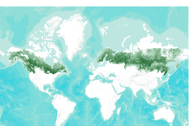 AssaadRazzouk's tweet photo. Dramatic changes are underway in boreal forest, world's largest ecosystem, as Arctic warms 3 times faster than the rest of world:

>Thawing permafrost
>Methane releases
>Wildfires
>Carbon sinks becoming emitters

Profoundly disturbing, yet mostly ignored

https://t.co/NtyxuuA82E https://t.co/GagM3Z14q8