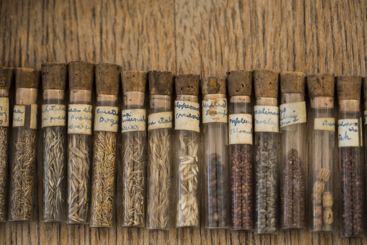 Just 3 DAYS LEFT to apply to join our Seed team! We're looking for an innovative Tech and Programme Support to complete our small but mighty team. Sound like you? Apply by 14 April! seedsovereignty.info/come-work-with…