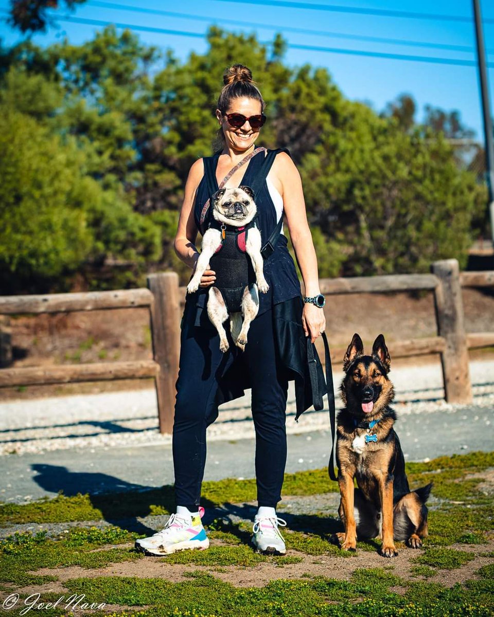 Everyday is #NationalPetDay at our house! 
#NationalPetDay2022