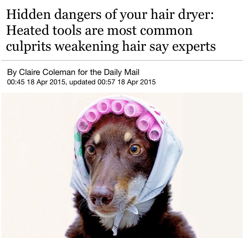 Amanda on Twitter "Was searching for something online and stumbled across a headline about the