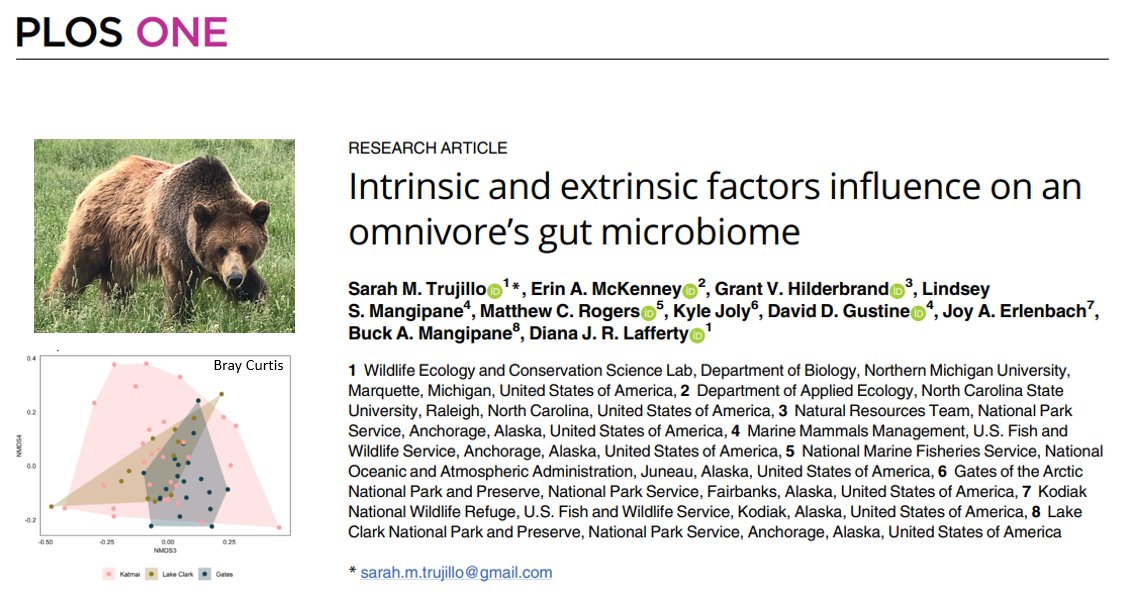 Diana Lafferty tweet media