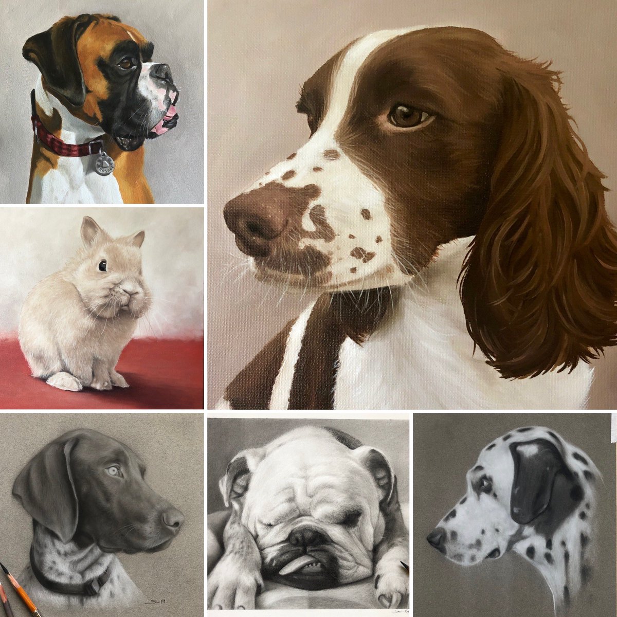 “Until one has loved an animal a part of one's soul remains unawakened.” Anatole France. Some of the angels I’ve worked on. #NationalPetsDay #nationalpetmonth #pets #art