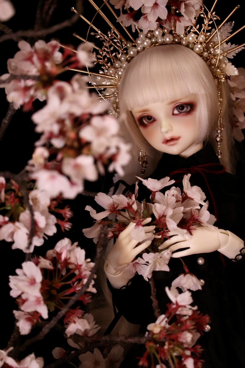 kurumi145's tweet photo. 奏音くんに奇跡が起こって…
桜の精霊に逢えました。
#TOAClaris
#水晶の森
#スーパードルフィー
#f63 https://t.co/oht7vJlUhb