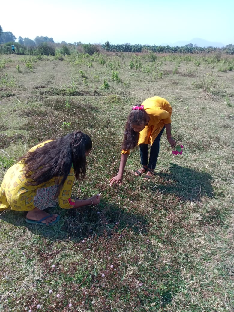 media_edifice's tweet photo. #EdificeFoundation recently organized the first experimental field trip to Brahmani river side for students of the #CommunityLearningCentre at Khuntgaon village, #Odisha.
#BuildingForIndia #ReapBenefit #Education @Shreejita9 https://t.co/0PxBQKXG91