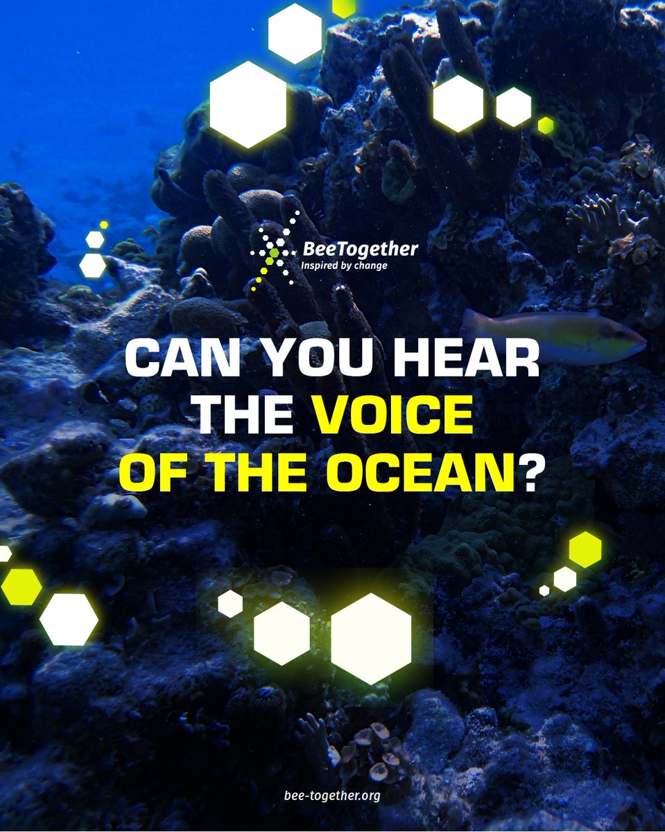 Barbara Tosti #ledgeronvalidatedemotions tweet media