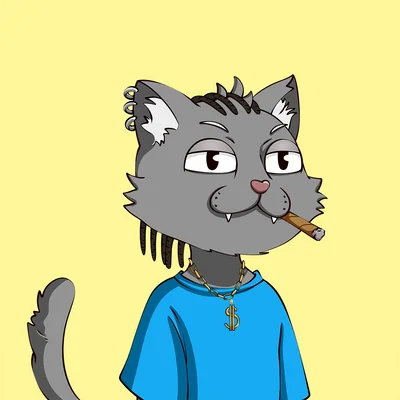 Moneynosleep_'s tweet photo. GM FAM got this new Dopecats
LFG #DopeCats #SolanaNFTs https://t.co/jgLrJC8YX8