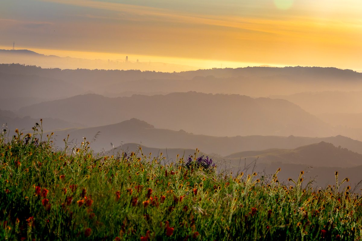 Happy Earth Day! Today we celebrate our support for environmental protection. You can do lots of things to show support, such as donate, volunteer, or simply learn how to live more sustainably. These photos of this fabulous planet are from Exposure user <a href="/ClickMyPix/">PoojaPhotography</a>.