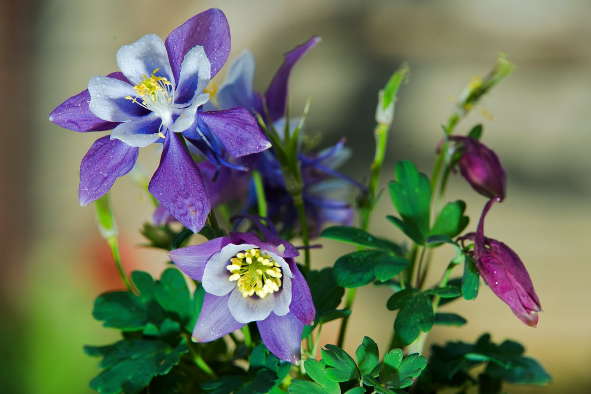 This week’s tip is about how to not overdo sharpening. When you adjust the Sharpening panel sliders in Exposure, hold down the Alt or Option button. That will change how the image is displayed as you dial-in the effects. Images by @alb3_korriban on IG.