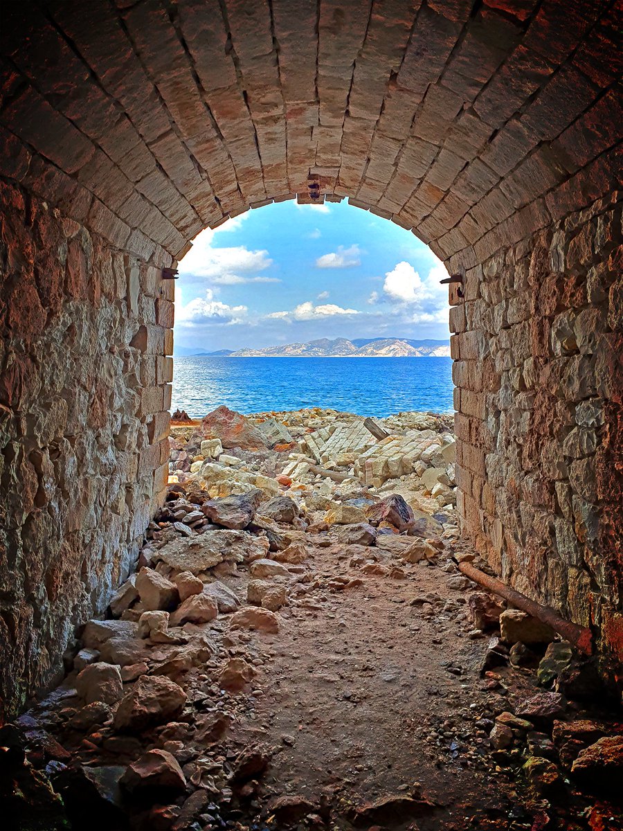 Barbara Tosti #ledgeronvalidatedemotions tweet media