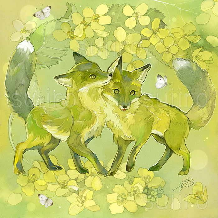 最近みられる花をまとめたよ🥰
梅、桜、菜花