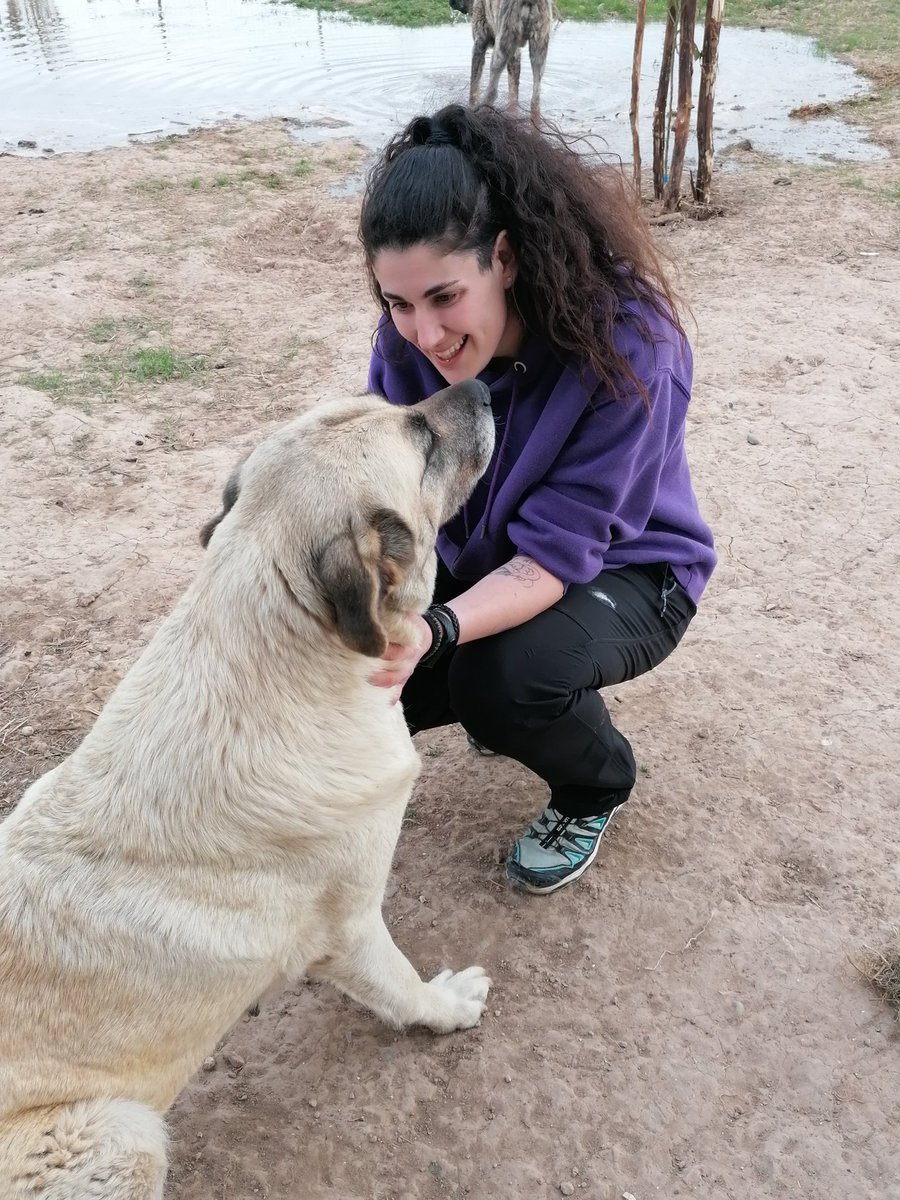 IrisRegaira's tweet photo. 🐶 https://t.co/SvRZTRZ2AC