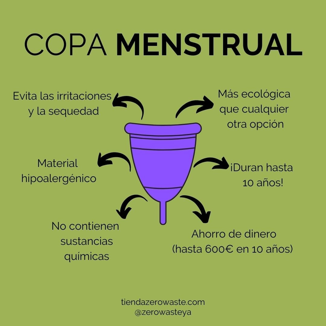 Sabías que se calcula que no tener que comprar productos de higiene íntima supone un ahorro de hasta 600 euros en los 10 años de vida que tiene la copa menstrual❓

Súmate a una menstruación sostenible♀️ 🌿
______
Síguenos 🐾🐾🐾 en 👉🏻 <a href="/zerowasteya/">ZERO WASTE</a>
_____
tiendazerowaste.com