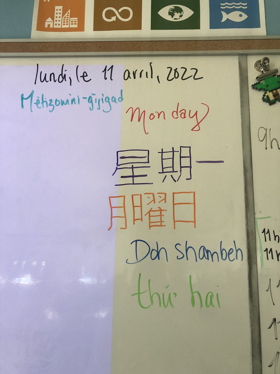 αℓℓιѕση ƒυιѕz 🐧🦑🦉 tweet media