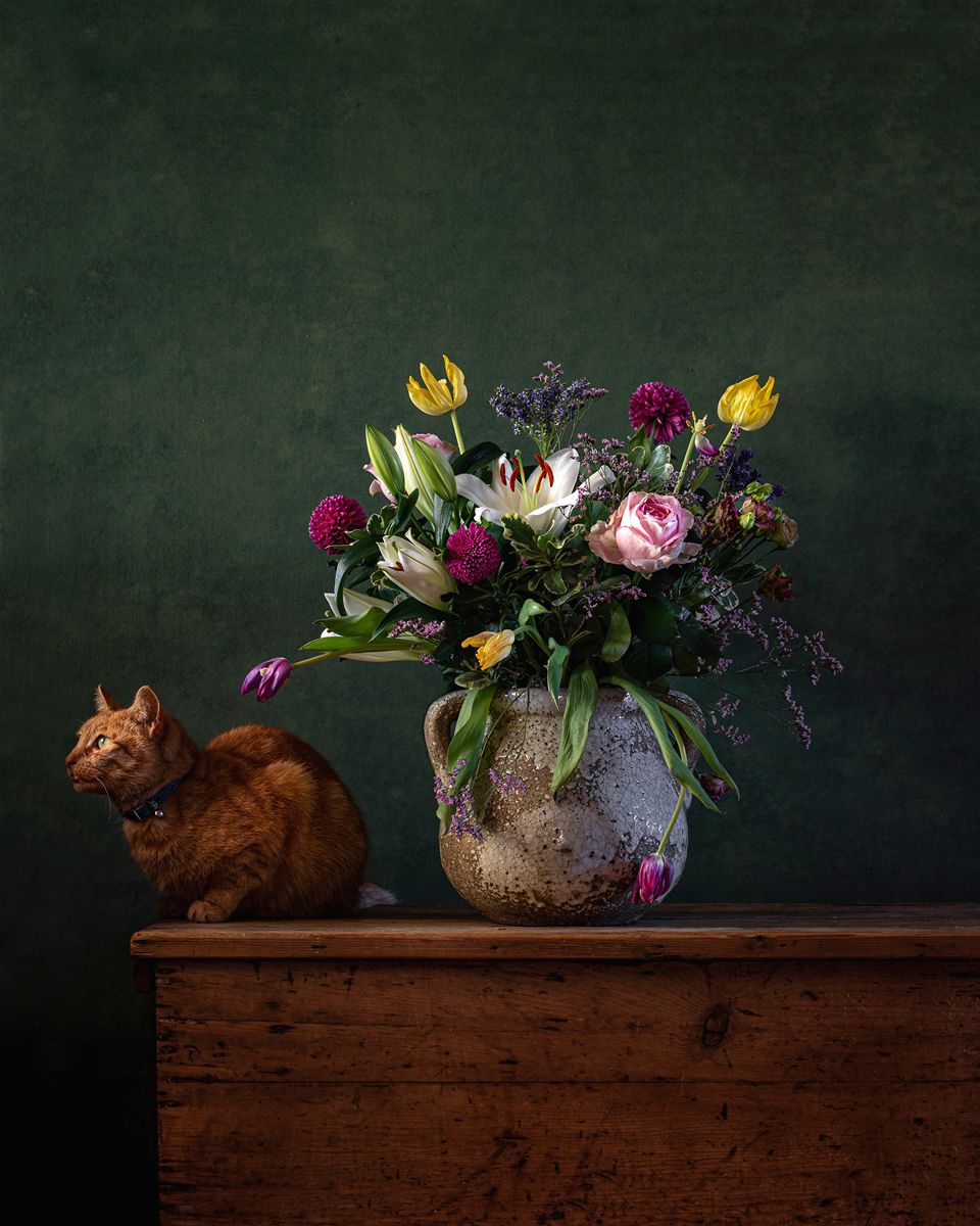 ExposureSW's tweet image. If you ever need technical assistance, we are here to help. From within Exposure, you can submit a support request from the help menu. That’s the fastest way to get a hold of a real person on our team. -- These pics are from still life juggernaut @Wshing_Well.