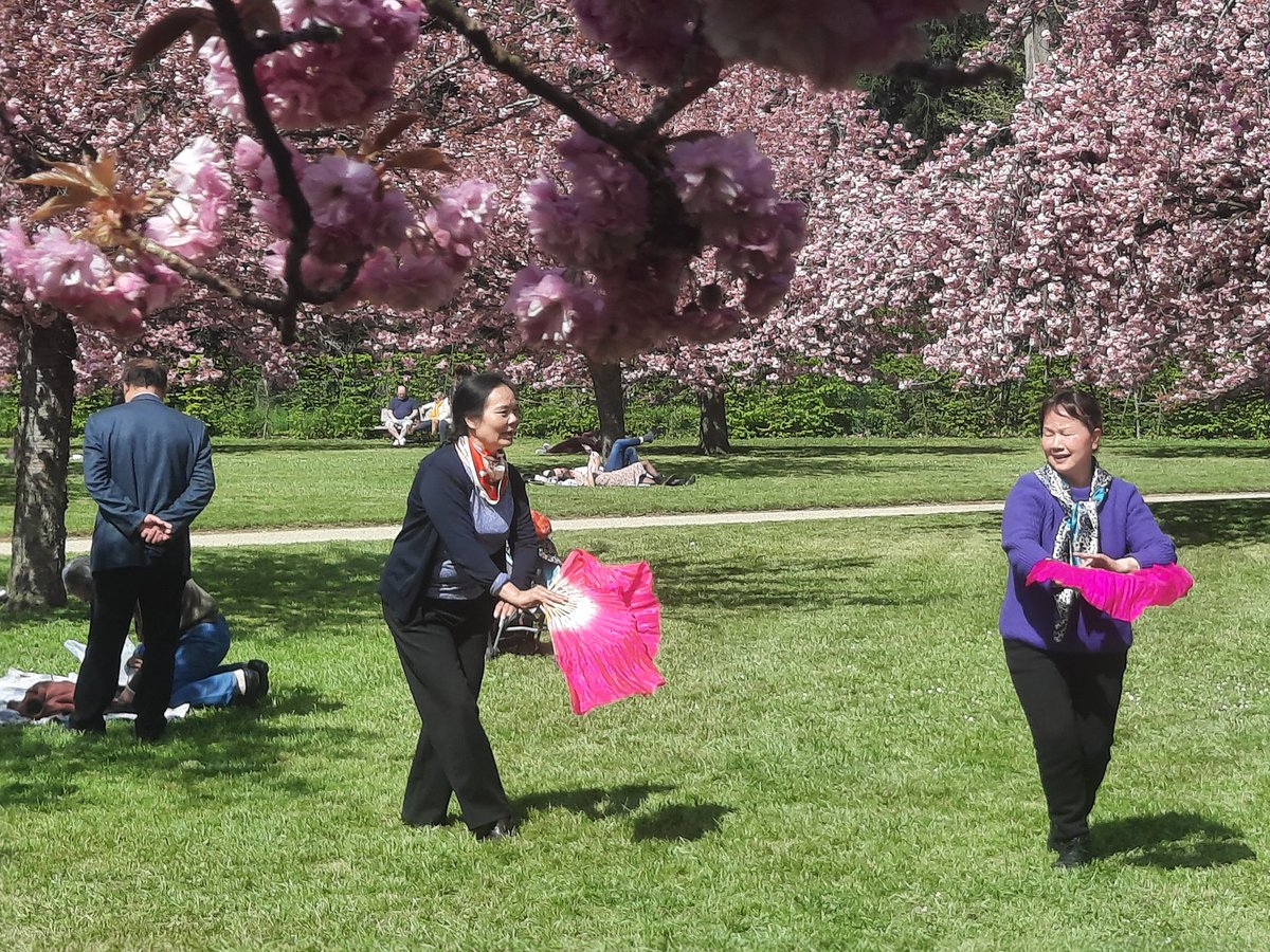 SophieLemperie1's tweet image. On remplace le grand remplacement !
Vive le multi culturel au parc de Sceaux ! Fête d Hanami pour les Japonais de France ! Joie !
Mais vigilance et on ne laisse rien passer !
#multiculturel
#Hanami
#domainedesceaux
#ToutsaufMarine