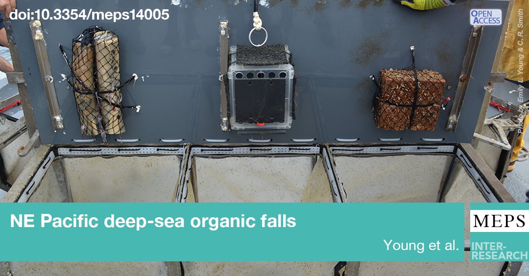 #Organic-#fall #habitats form when large parcels of organic-rich material reach the #deepsea floor. Experimental deployments of #wood and #whalebones (NE Pacific) reveal that organic-fall communities vary with depth, location, and substrate type. bit.ly/meps_687_23
