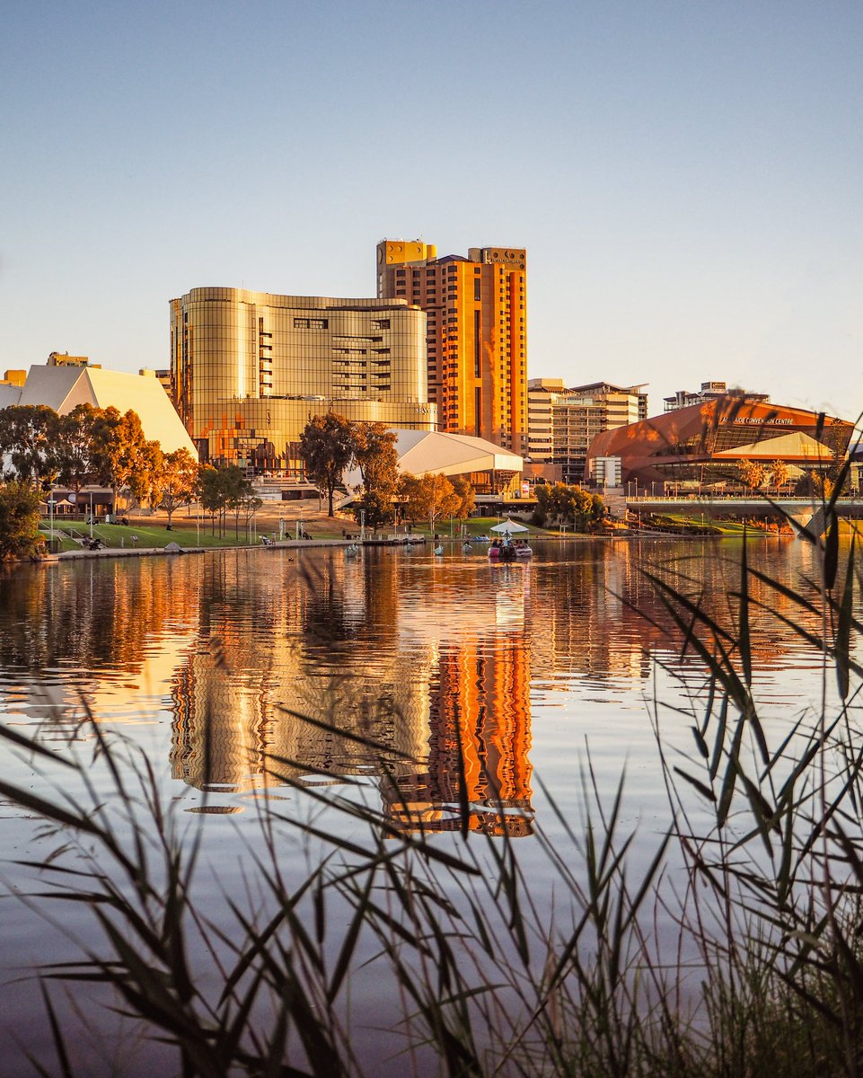 Golden hour serenity on the Adelaide Riverbank 💜