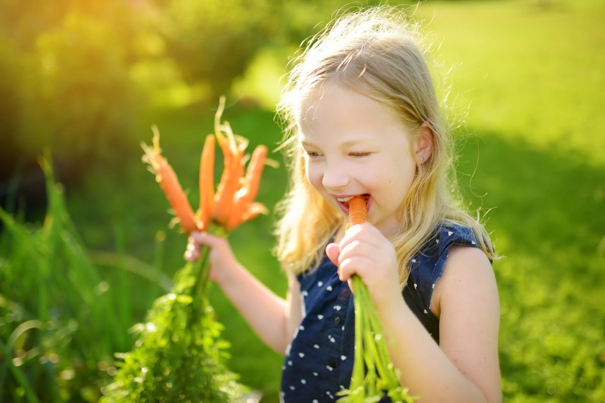 Van 9 t/m 31 mei is het zover: alle scholen in Nederland kunnen meedoen aan de Maand van de Schooltuin! Via leuke activiteiten leren kinderen meer over zaaien, verzorgen en oogsten. En niet te vergeten… proeven!  alliantieschooltuinen.nl/voor-scholen/