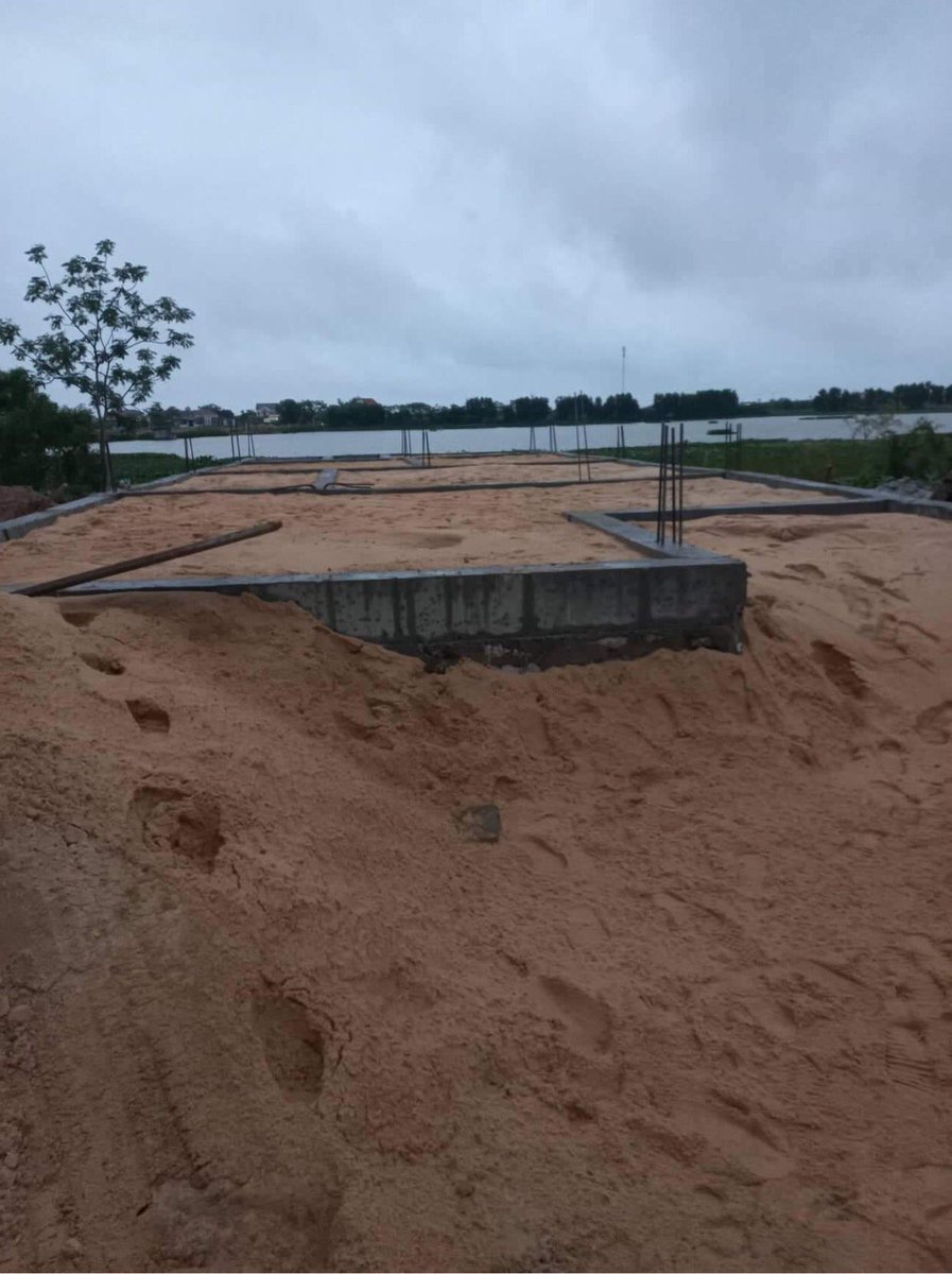 NFT Goat tweet media