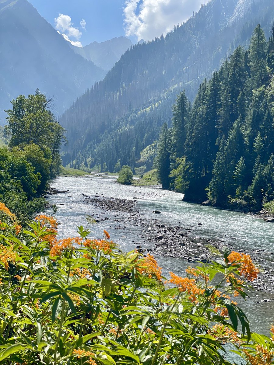 sj6065502's tweet photo. This beautiful river, Kishanganga, originates in PoJK, enters Gurez Valley, India
Re-enters Pakistan &amp; joins Jhelum river near Muzaffarabad in PoJK.
It is called Neelam river in Pakistan.

Pure,fresh &amp; cold water,good enough to drink!
#FreePoJKfromPakistan
https://t.co/nUO6W5iPYd
