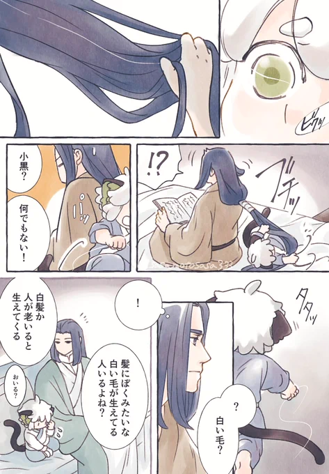 无限に白髪が生えてるのを小黒が見つけたらという妄想。 嘘でもずっと一緒だよって言って欲しいー。