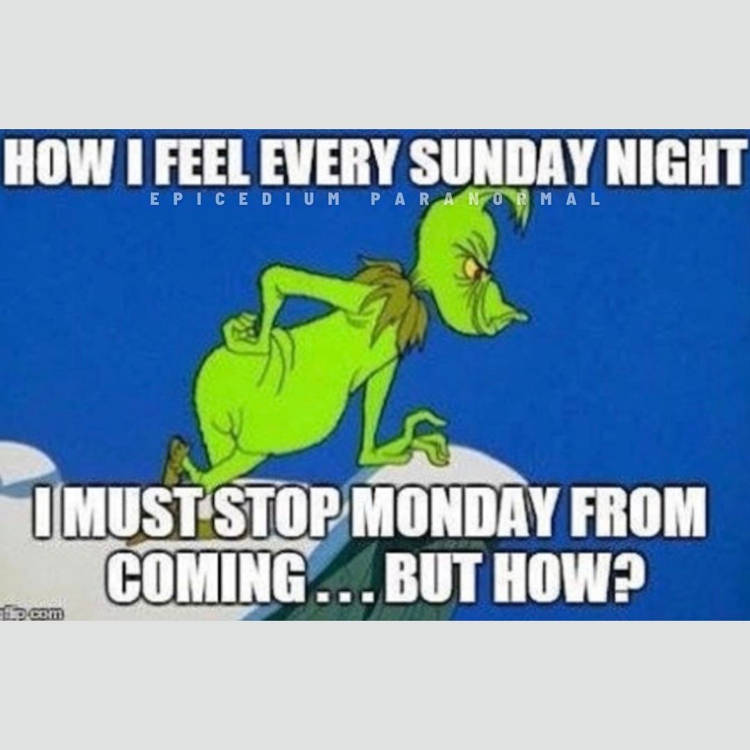 EpicediumNJ's tweet image. Doesn&apos;t it seem like weekends are getting shorter &amp;amp; shorter or is it just us?? 🤔 💭
#epicedium_paranormal #whatistime #paranormalinvestigators #weekends #linkinbio #investigatingtheunknown #staycurious #hustle #backtoreality #workweek #mondays