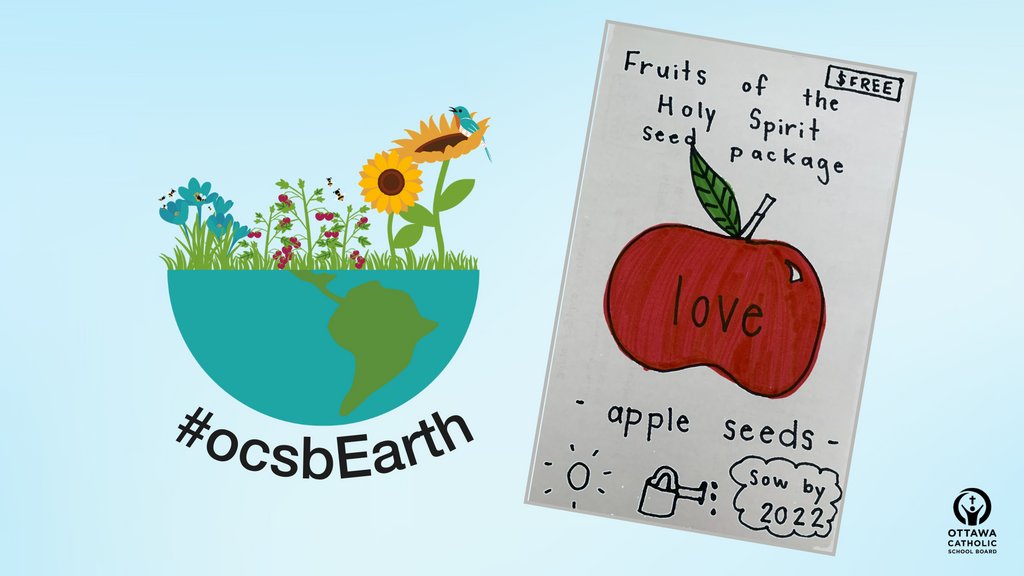 Ottawa Catholic School Board tweet media