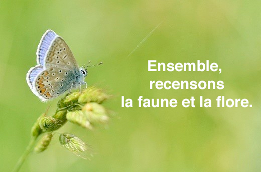 David Clero Davidclero Twitter