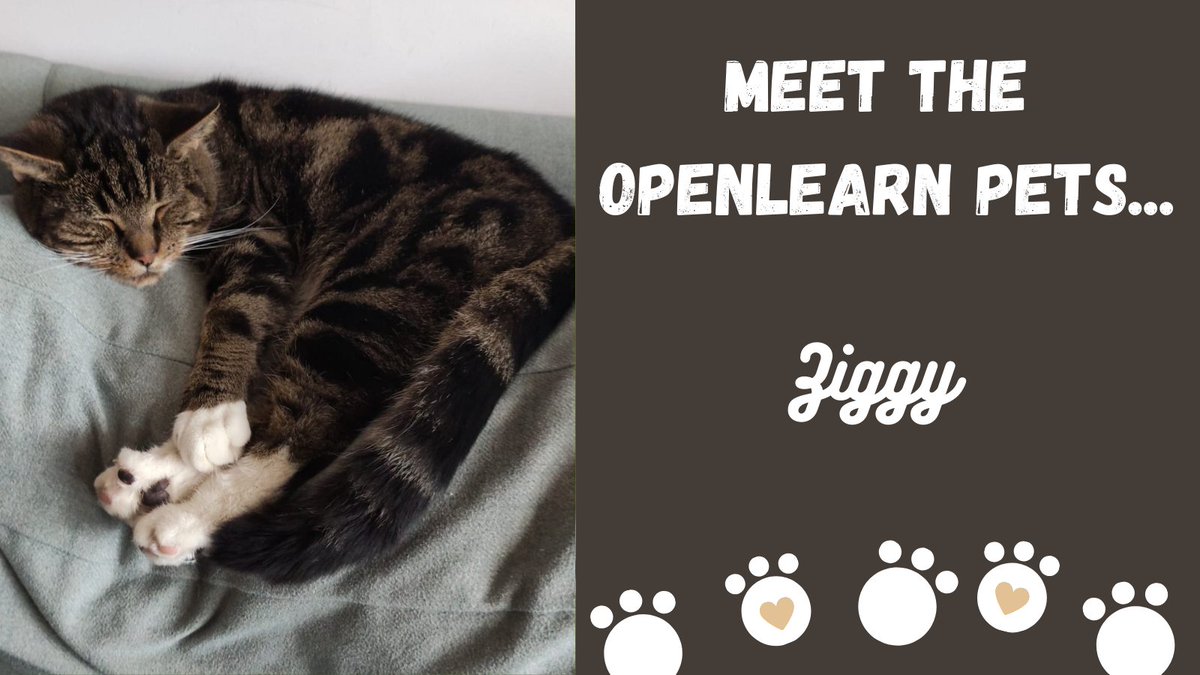 OUFreeLearning's tweet photo. And this is Ziggy, Olive's feline brother.
Ziggy loves a catnap - but why does he need to sleep so much? This article explores the #science behind what happens if you're sleep deprived:
https://t.co/GXyl8kk5GO
#NationalPetDay #MeetTheOpenLearnPets https://t.co/JVzmmiHQ7d