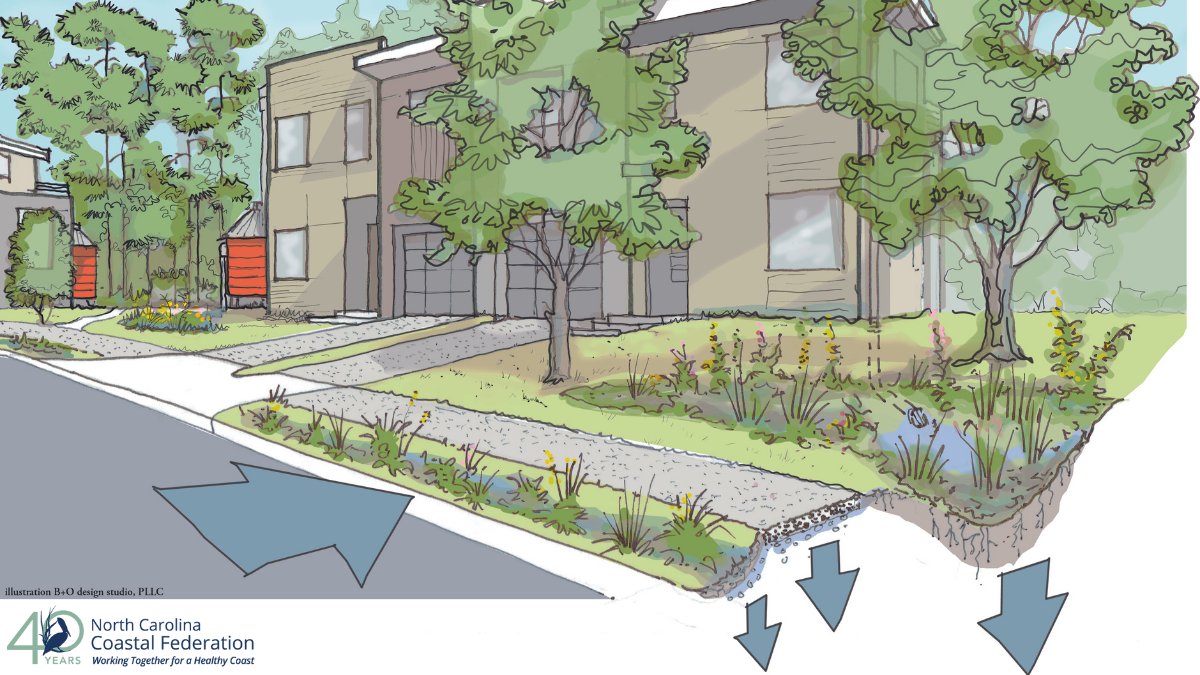 NCCoastalFed's tweet photo. Have you checked out Smart Yards?📖

If not, you should! Our guide gives you all of the tips you need to reduce runoff from the rain right in your own yard. 🌧️ 

Smart Yards: https://t.co/Utzv19QxjE

#NCCoast #ProtectandRestore #NaturebasedStormwaterStrategies #LID #smartyards https://t.co/DHncqAxjjf