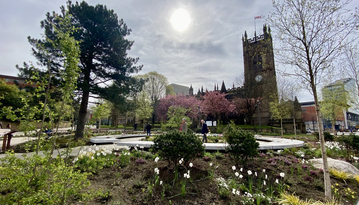 Andrew Thomson tweet media