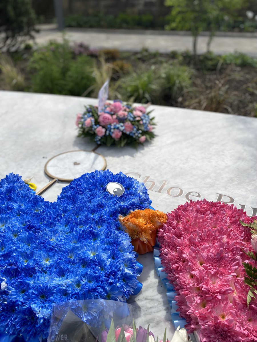 Andrew Thomson tweet media