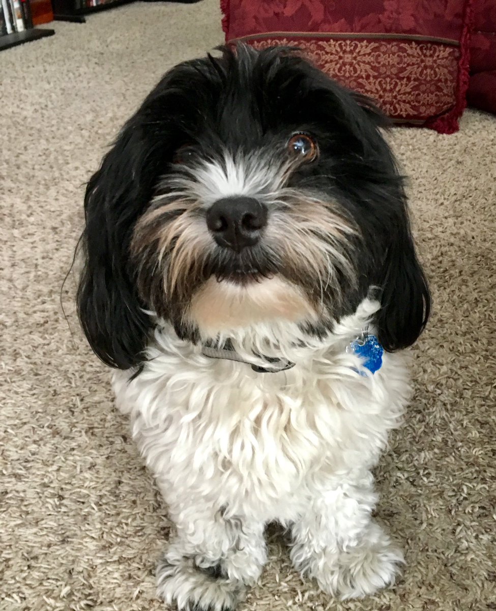 kerrigan72's tweet photo. @9NEWS Colby Jack https://t.co/XvivapCIKM