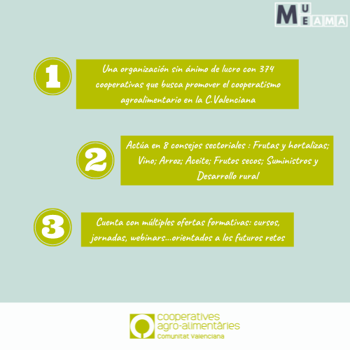 mueamaupv's tweet photo. ⚠️ Estas son algunas de las organizaciones en las que colaboramos y donde nuestros alumnos de #MUEAMA siguen su formación 😃🙌
@TCiudadana_UPV @CoopsAgroCV
Conoce cómo contribuyen a un sistema agroalimentario sostenible👍
#Mueama #cooperativas #sostenibilidad #formación #UPV https://t.co/8jIcpRO6iG