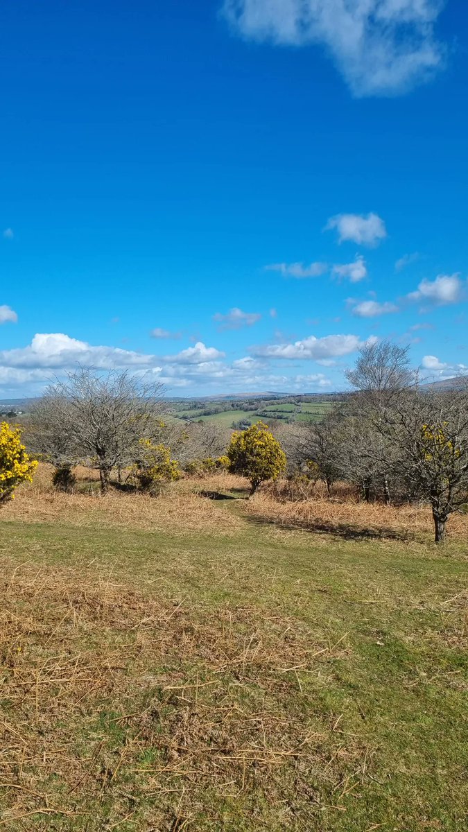 G.France tweet media