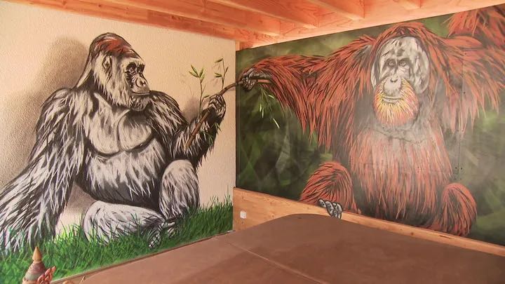 LMPositif's tweet photo. 🇫🇷 A Bordeaux, un artiste, colore les rues de la ville avec des animaux sauvages géants. Son objectif: remettre la nature dans le quotidien des gens ! 🌍 https://t.co/80FgNmZd2u