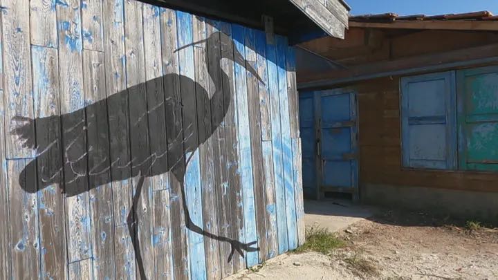 LMPositif's tweet photo. 🇫🇷 A Bordeaux, un artiste, colore les rues de la ville avec des animaux sauvages géants. Son objectif: remettre la nature dans le quotidien des gens ! 🌍 https://t.co/80FgNmZd2u