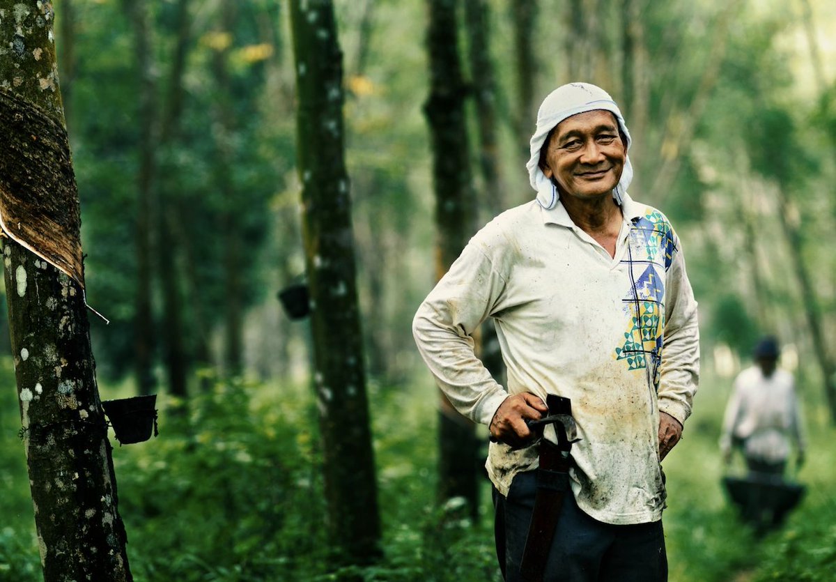 GreenFleetNews's tweet image. .@Kwik_Fit has announced it is making more tyres available which support #sustainable natural rubber production and help protect the #rainforests of Indonesia through #ProjectTree

greenfleet.net/news/11042022/…