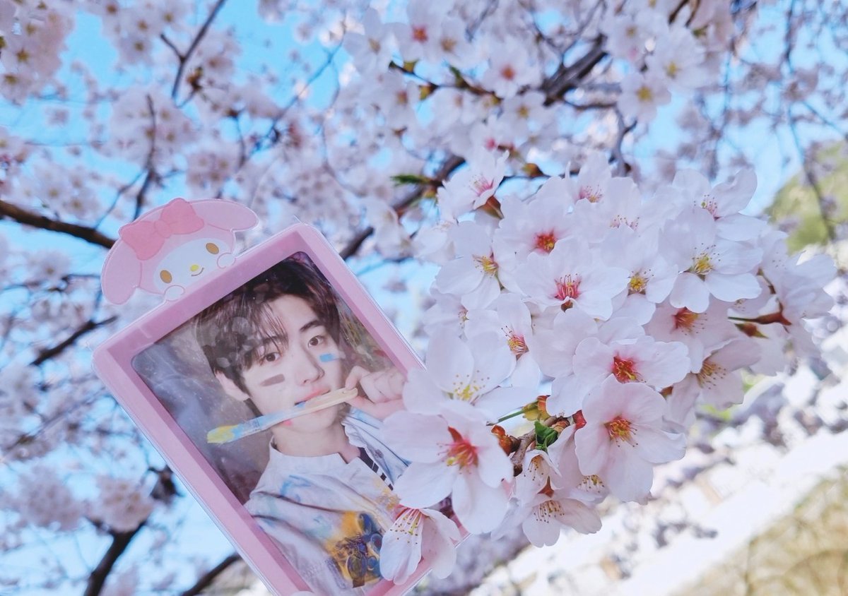 021208milk's tweet photo. 봄🌸🌸 https://t.co/7RYDZrwF7y