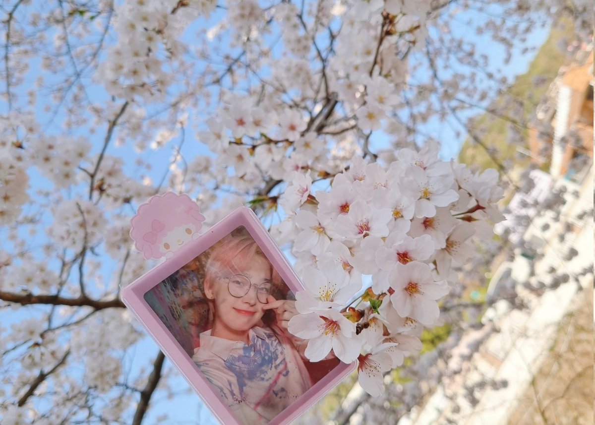 021208milk's tweet photo. 봄🌸🌸 https://t.co/7RYDZrwF7y
