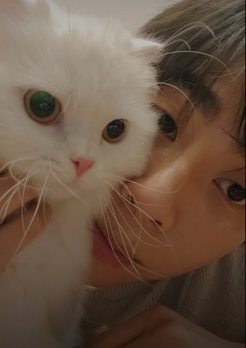 macomo_jp's tweet photo. 可愛いよねー！！！！！！！
ふわふわ😮‍💨

#ส่วนผสมของมิกซ์ #mixxiw https://t.co/mDFm6X1lRa
