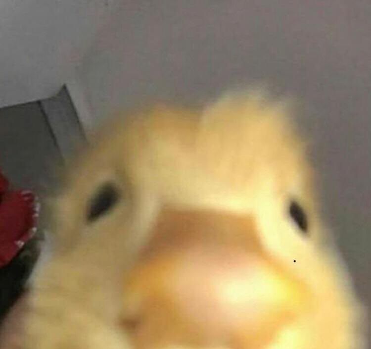 Felt cute. Might delete later ❤️