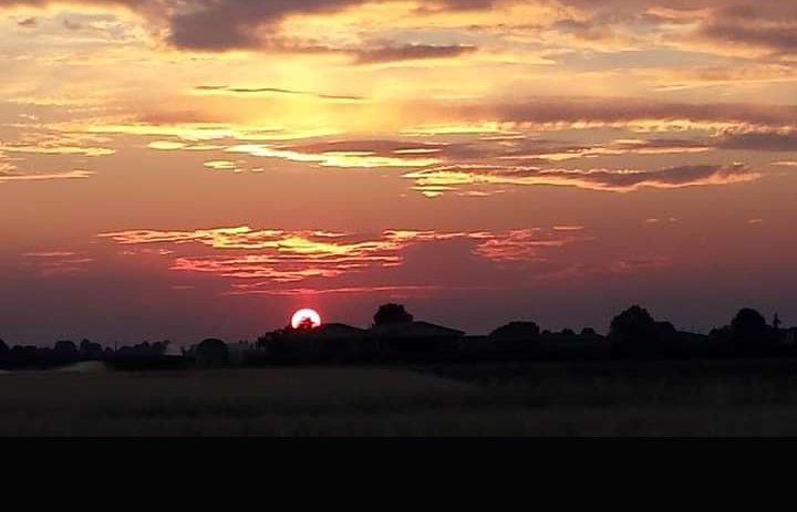 Massimo Moscarelli tweet media