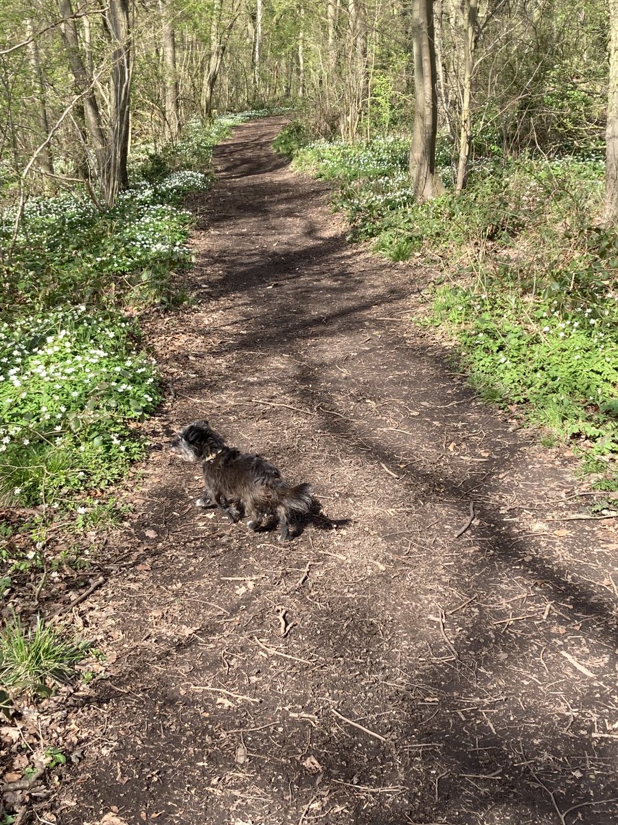 ProgWinds's tweet image. View from the office this morning! #progdog