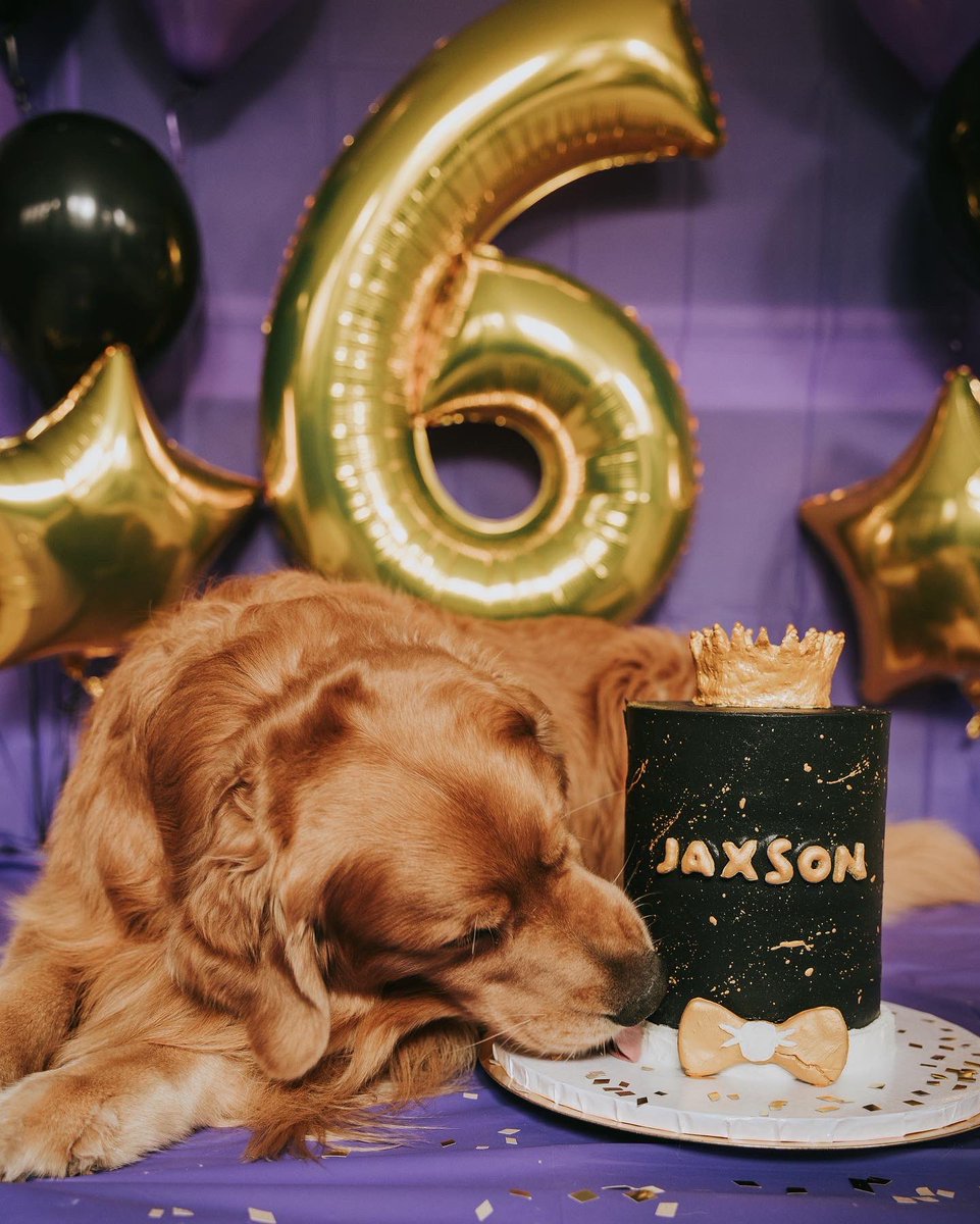 Jaxson, Sadie & Sawyer tweet media